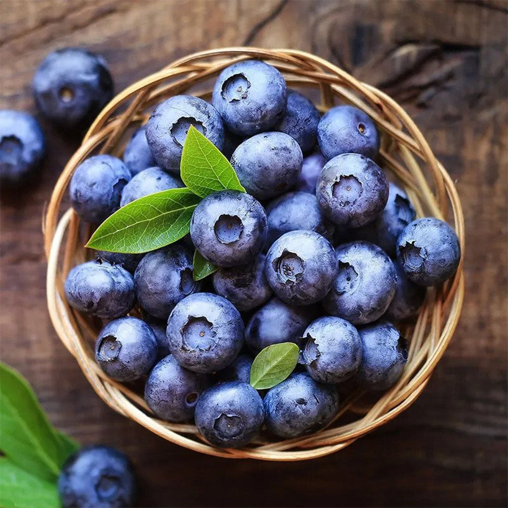 Fresh, juicy mountain-grown blueberries bursting with flavor
