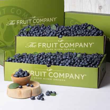 Mountain Blueberries