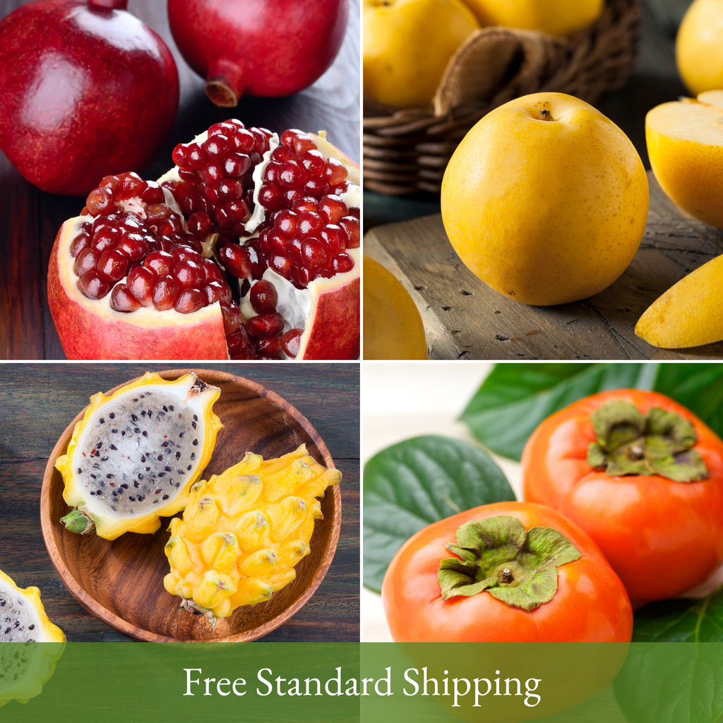 Denver Fruitier Fresh Organic Fruit subscription services