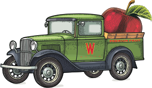 The Fruit Company