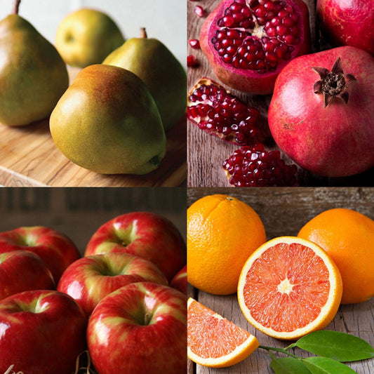 Winter Fruit Medley