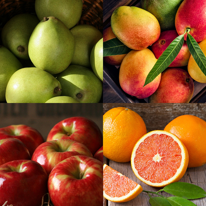 Mixed Fruit Medley – The Fruit Company®