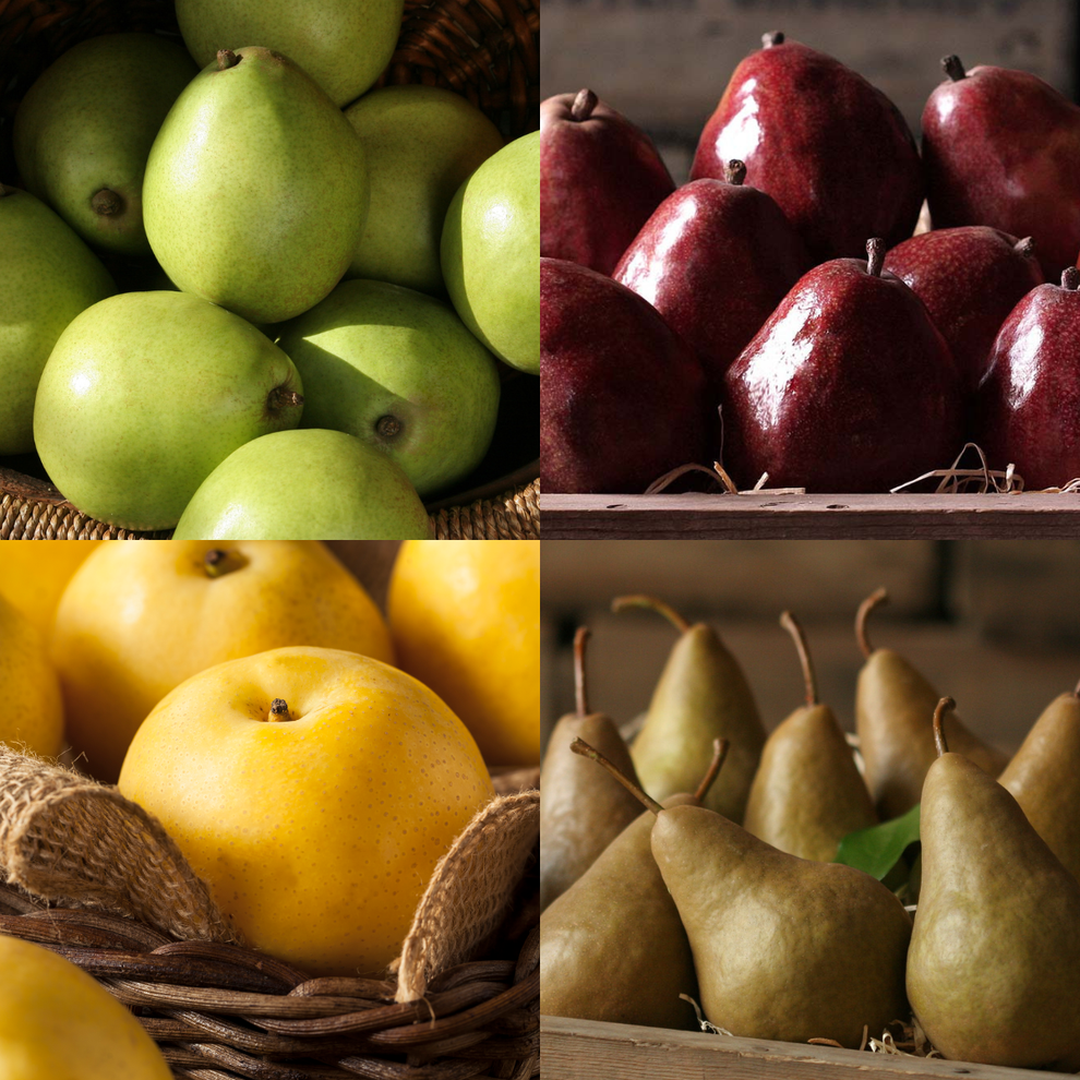 Oregon Pear Medley – The Fruit Company®