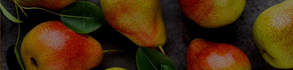 https://www.thefruitcompany.com/cdn/shop/files/banner-pears_2x_6263882c-bb8b-4612-8450-fa9fc27d3ed3_1024x1024.png?v=1664625263