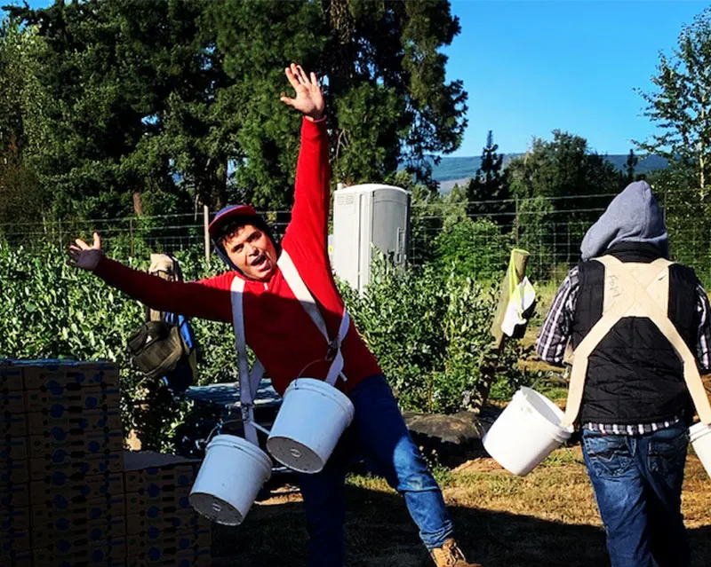 The workers on a seasonal work at The Fruit Company