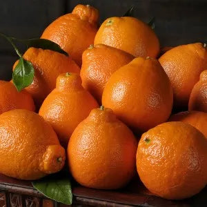 Honeybells & Navel Oranges