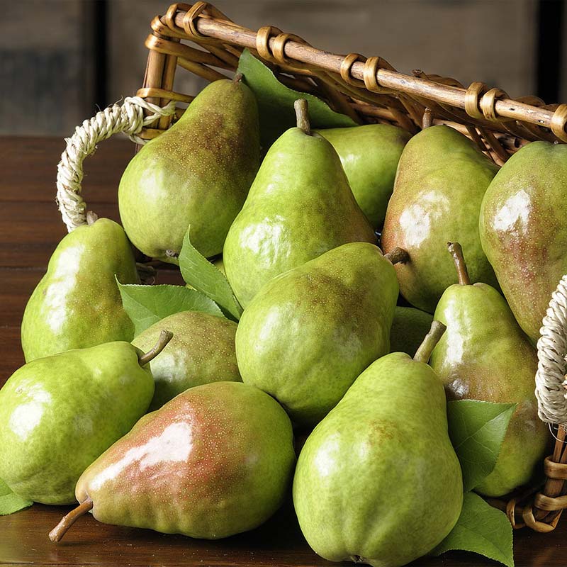 https://www.thefruitcompany.com/cdn/shop/products/bartlett-pears_4.jpg?v=1664807414