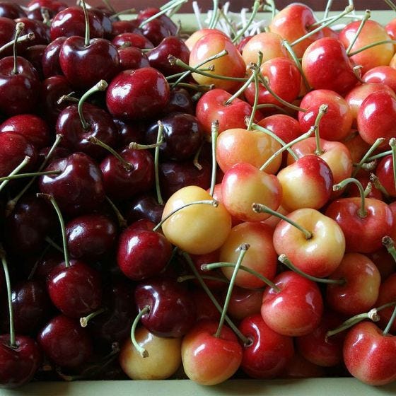 Delicious, juicy cherries in a sweet medley.