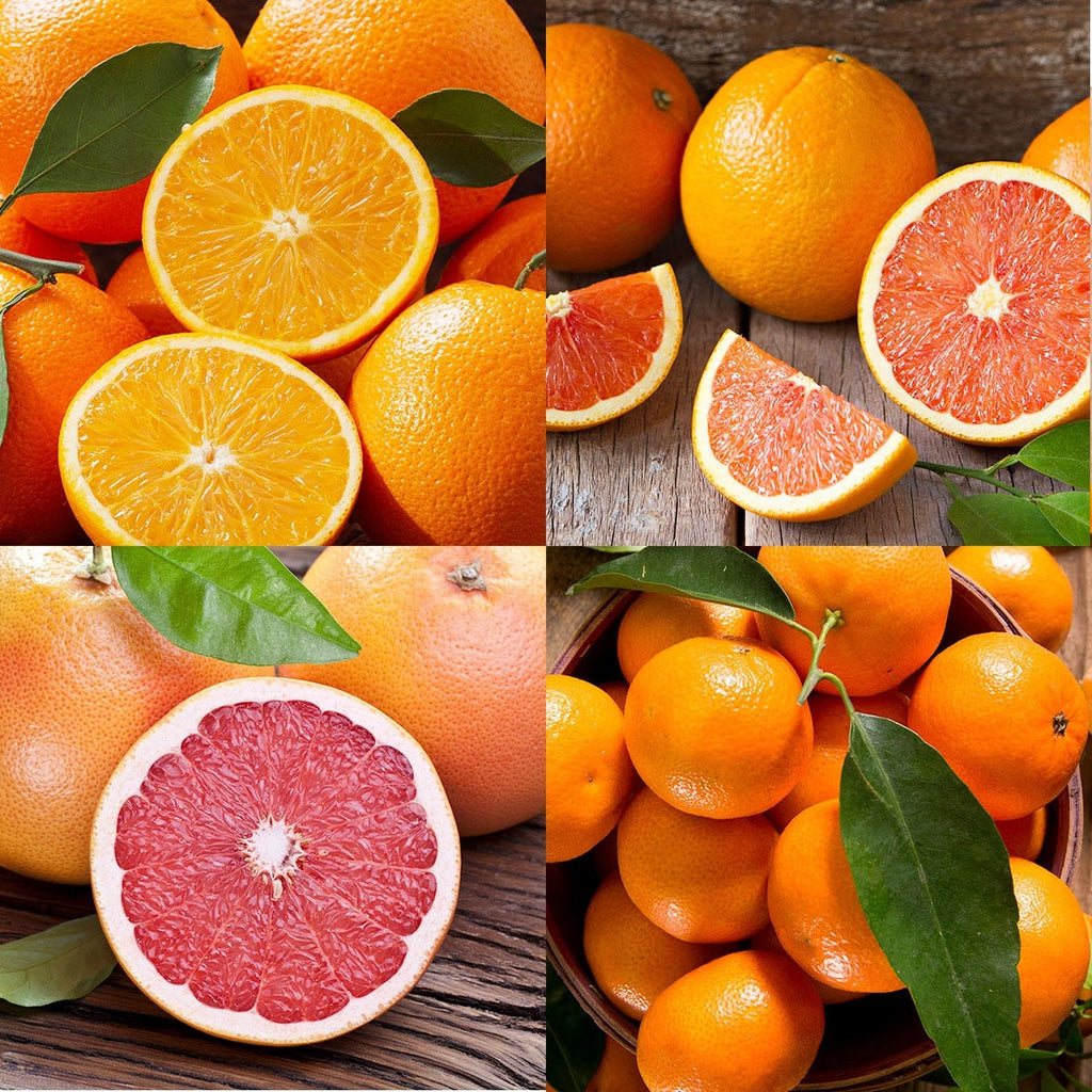 Navel Oranges, Cara Cara Oranges, Red Grapefruits, and Mandarin Oranges