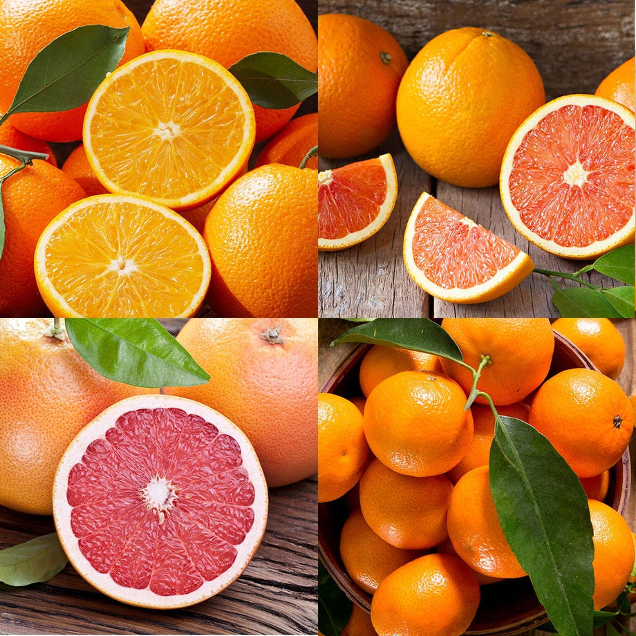 Types of Oranges