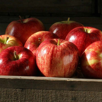 Granny Smith Apples from The Fruit Company