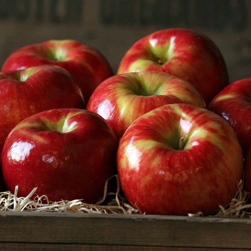 Apples, Honeycrisp