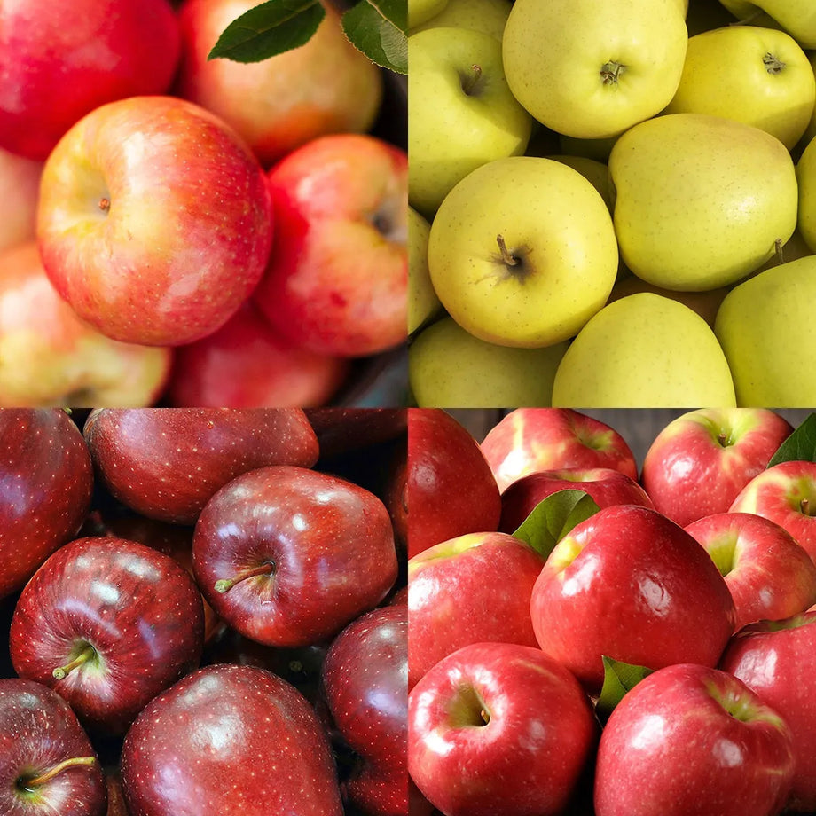 https://www.thefruitcompany.com/cdn/shop/products/mountain-apple-fruit-medley_460x@2x.jpg?v=1665041310