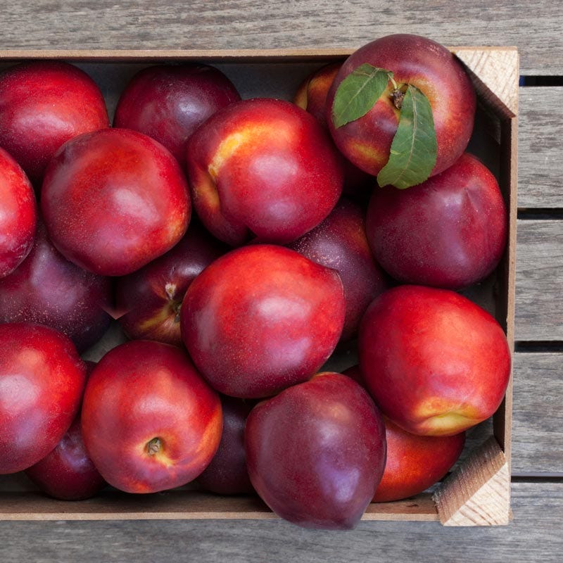 Juicy, sweet Northwest Nectarines