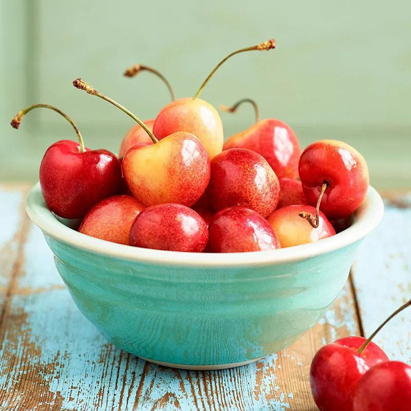 Bowl of beautiful Rainier cherries