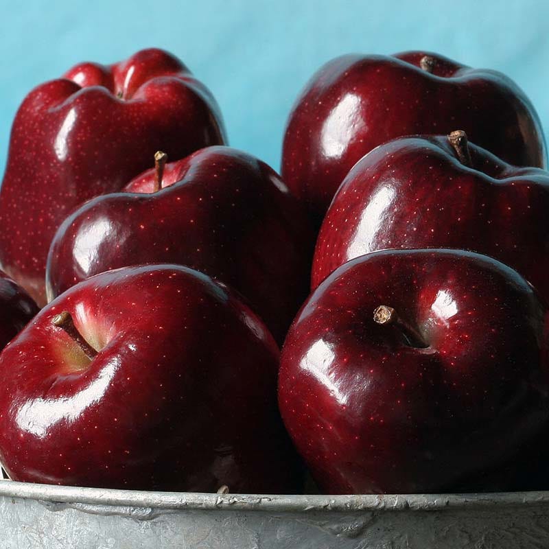 Red Delicious Apples