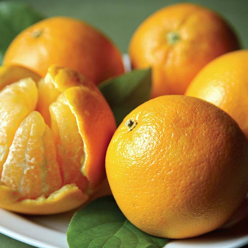 Fresh peeled Valencia Oranges Juicy peeled Valencia oranges
