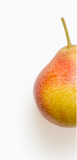 https://www.thefruitcompany.com/cdn/shop/t/81/assets/pear.png?v=19252468588492241721701147633